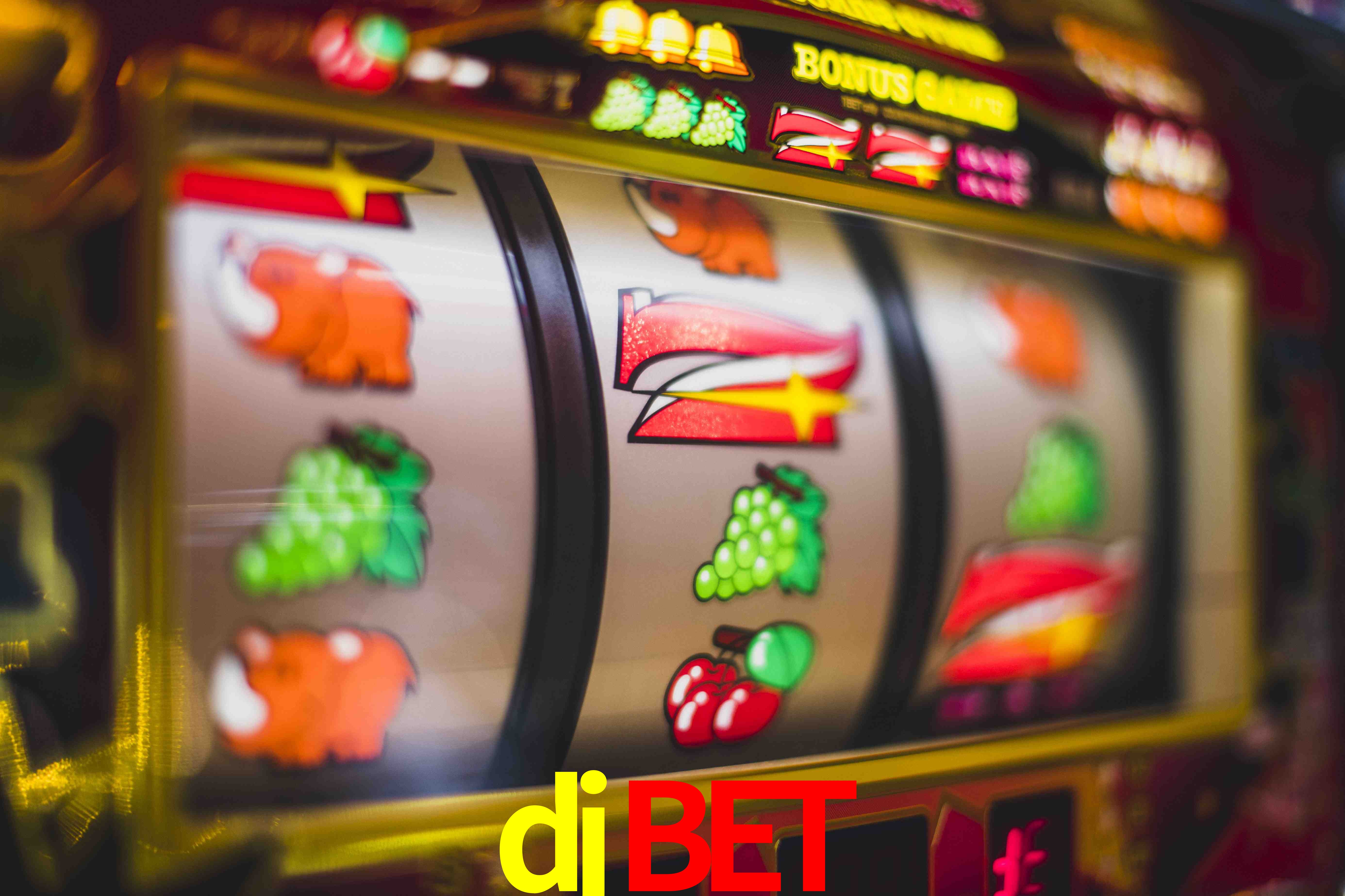 Live Casino djbet